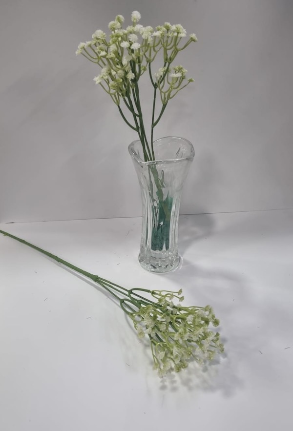 Baby Breath